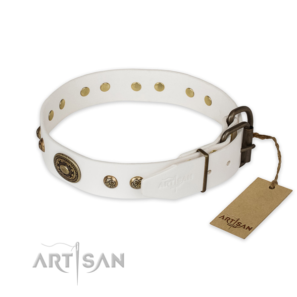 Corrosion proof traditional buckle on full grain natural leather collar for stylish walking your doggie