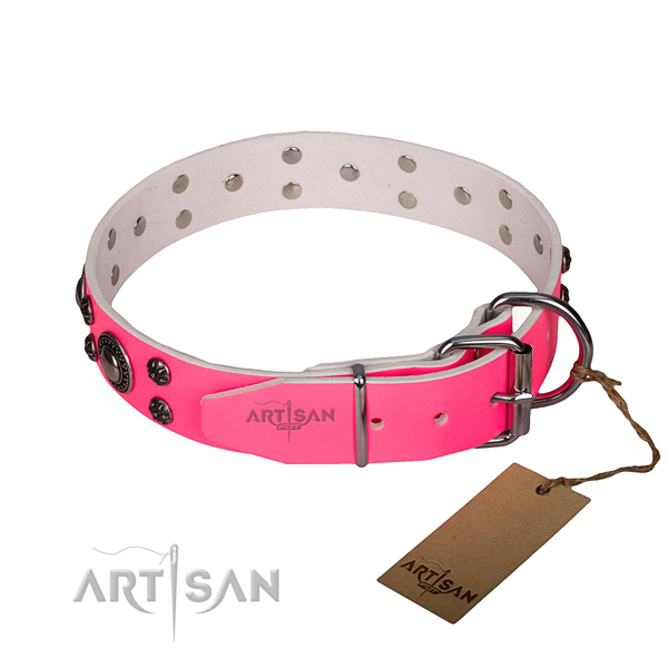 Daily use studded dog collar of top notch full grain genuine leather