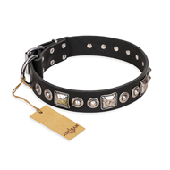 "Eternal Beauty and Style" FDT Artisan Adorned Black Leather Black Russian Terrier Collar
