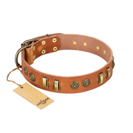 "Natural Beauty" FDT Artisan Tan Leather Black Russian Terrier Collar with Old Bronze-like Circles and Plates