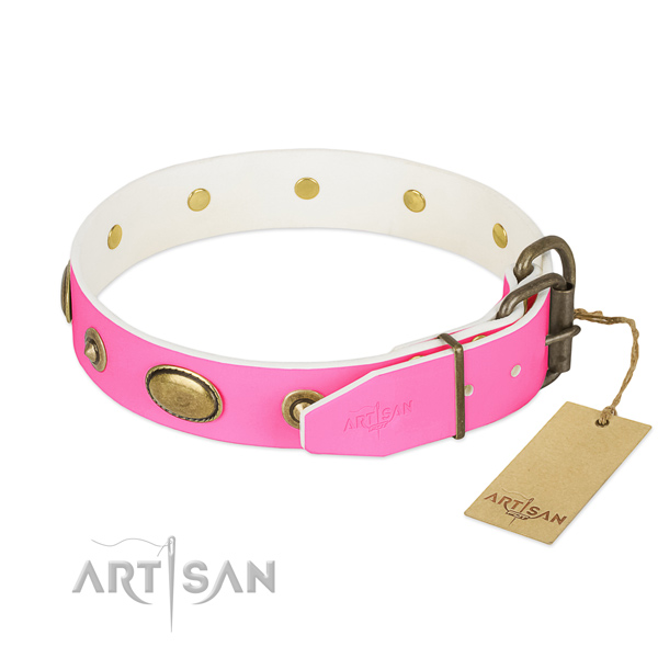 Rust-proof D-ring on leather dog collar for your dog