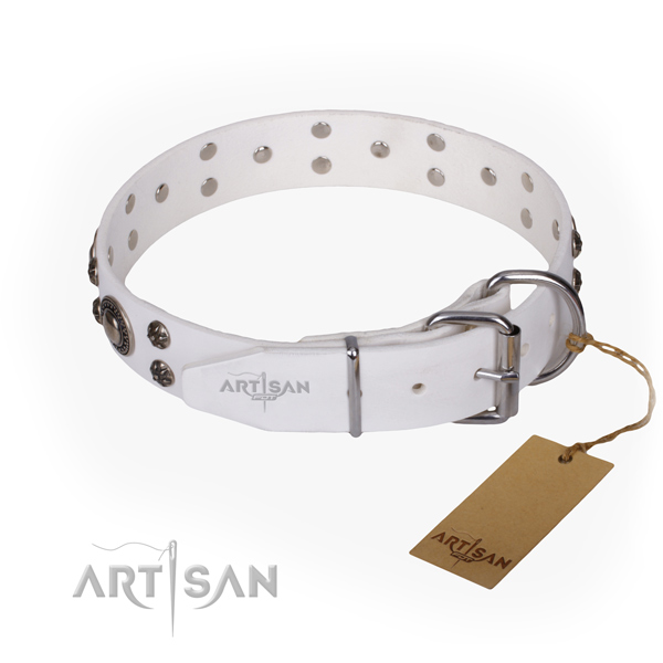 Daily walking decorated dog collar of finest quality full grain genuine leather