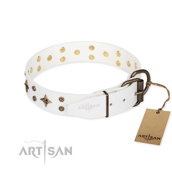 Daily use decorated dog collar of high quality natural leather
