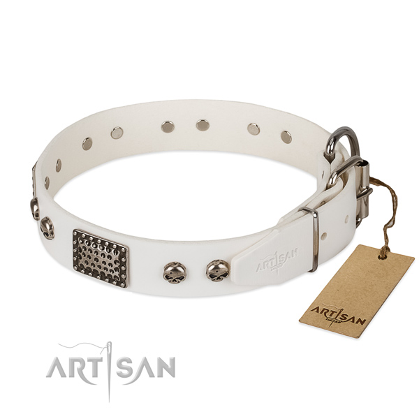 Corrosion resistant decorations on comfortable wearing dog collar