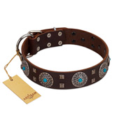 "Hypnotic Stones" FDT Artisan Brown Leather Black Russian Terrier Collar with Chrome Plated Brooches and Square Studs