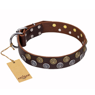 "Strong Shields" FDT Artisan leather Black Russian Terrier collar with stylish decorations
