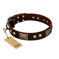 "Magic Amulet" Brown Leather Black Russian Terrier Collar with Skulls and Plates
