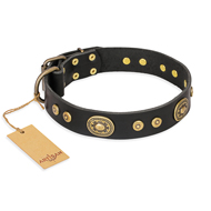 "Golden Radiance" FDT Artisan Black Leather Black Russian Terrier Collar with Old Bronze Look Ovals and Circles
