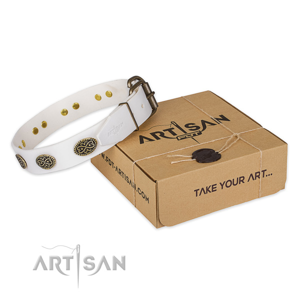 Rust resistant traditional buckle on full grain leather collar for your stylish four-legged friend