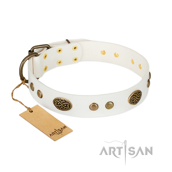Rust resistant fittings on leather dog collar for your pet
