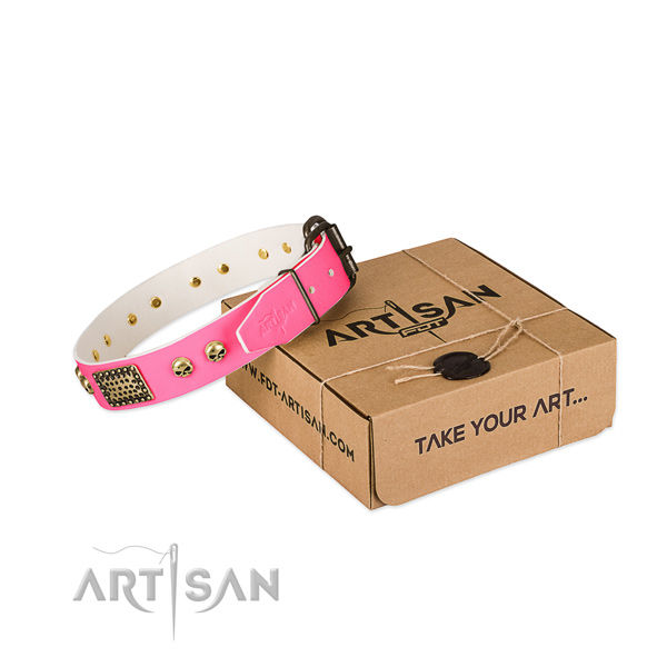 Strong fittings on dog collar for comfortable wearing