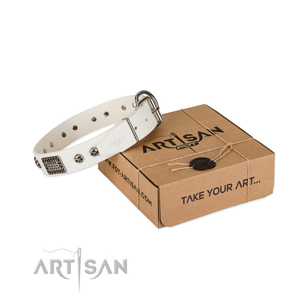 Durable D-ring on dog collar for daily use
