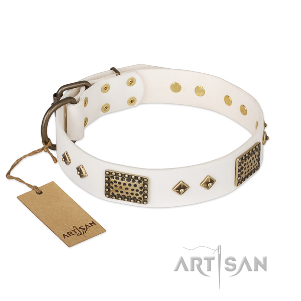 Studded full grain genuine leather dog collar for daily use