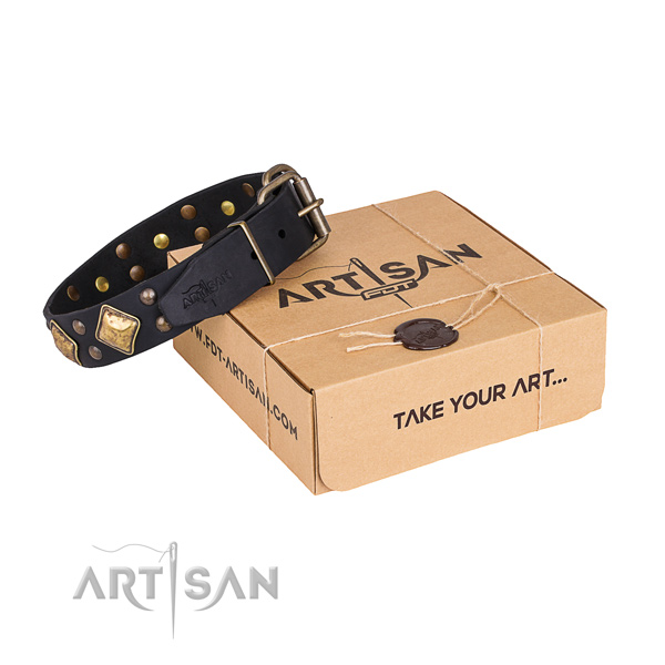 Comfy wearing dog collar with Stunning reliable embellishments