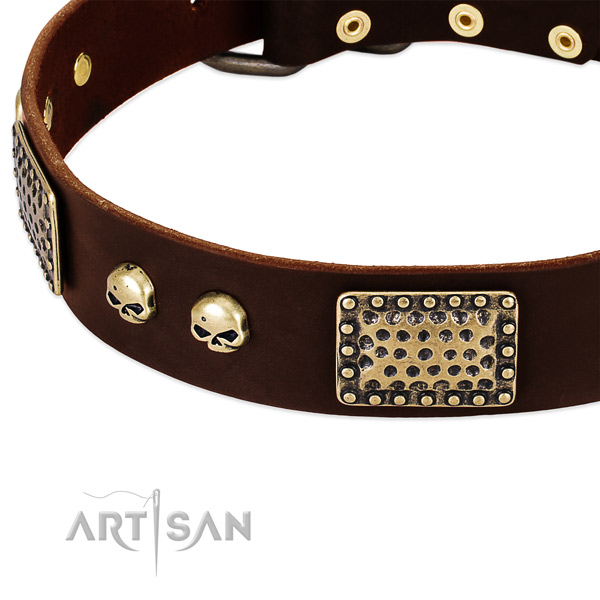 Corrosion proof traditional buckle on leather dog collar for your four-legged friend