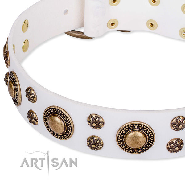 Everyday walking studded dog collar of strong leather
