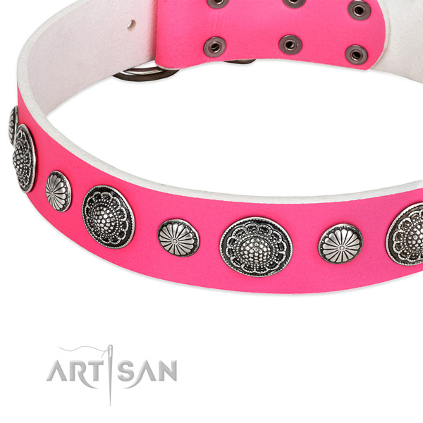 Full grain natural leather collar with durable D-ring for your attractive dog