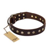 "Bronze Sheen" FDT Artisan Leather Black Russian Terrier Collar with Brass-Plated Studs