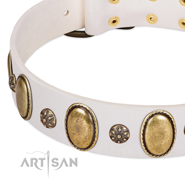 Everyday use top notch genuine leather dog collar