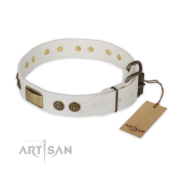 Corrosion proof buckle on full grain leather collar for daily walking your canine