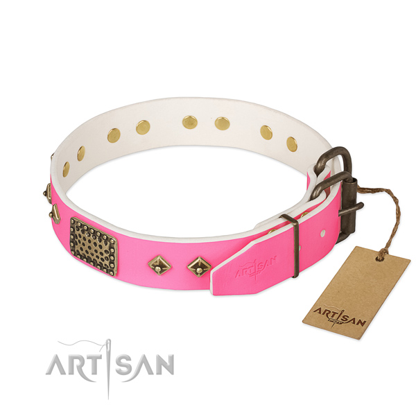 Durable buckle on comfy wearing dog collar