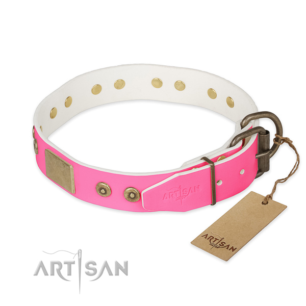 Corrosion resistant buckle on easy wearing dog collar
