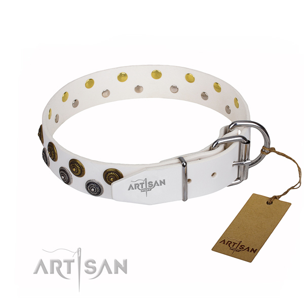 Basic training embellished dog collar of strong full grain leather