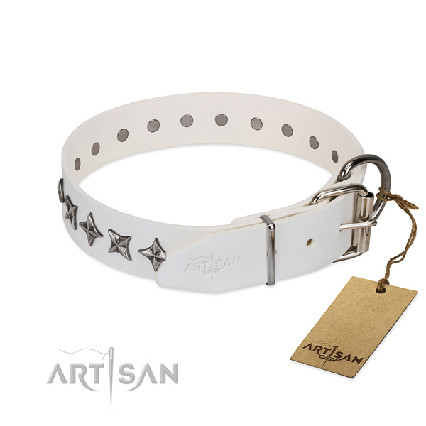 Reliable leather dog collar with stunning decorations