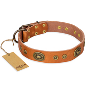 "Dandy Pet" FDT Artisan Handcrafted Tan Leather Black Russian Terrier Collar