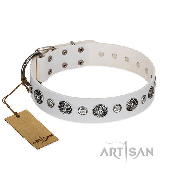 Top notch genuine leather dog collar with corrosion proof hardware