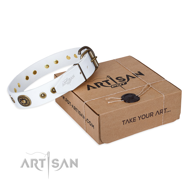 Full grain genuine leather dog collar made of soft material with strong fittings