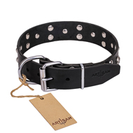 "Mystic Skulls" Decorated Leather Black Russian Terrier Collar with Skulls and Studs