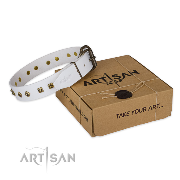 Corrosion proof traditional buckle on leather dog collar for comfortable wearing
