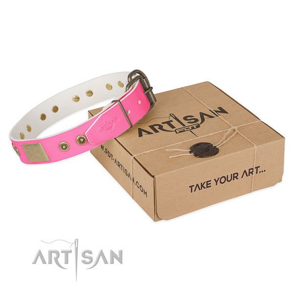 Rust resistant decorations on dog collar for walking