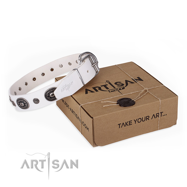 High quality natural genuine leather dog collar crafted for daily walking