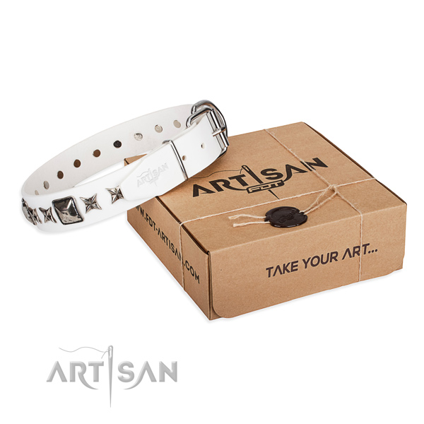 Everyday use full grain genuine leather dog collar with adornments