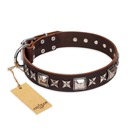 "Perfect Impression" FDT Artisan Brown Leather Black Russian Terrier Collar with Silvery Square Studs