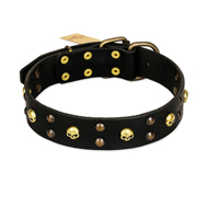 "Heavy Metal" Leather Black Russian Terrier Collar with Skulls and Studs 1 1/2 inch (40 mm)