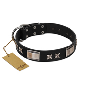 "Pitch Dark" FDT Artisan Black Leather Black Russian Terrier Collar with Stars and Plates