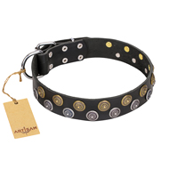"Romantic Breeze" FDT Artisan Black Leather Black Russian Terrier Collar with Sparkling Circles