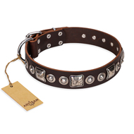 "Pierian spring" FDT Artisan Brown Leather Black Russian Terrier Collar with Silvery Decorations