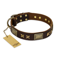 "Sparkling Bronze" FDT Artisan Genuine Leather Black Russian Terrier Collar with Bronze Look Stars and Plates