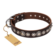 "Step and Sparkle" FDT Artisan Glamorous Studded Brown Leather Black Russian Terrier Collar