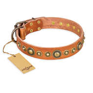 "Feast of Luxury" FDT Artisan Tan Leather Black Russian Terrier Collar with Old Bronze Look Circles