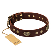 "Old-fashioned Glamor" FDT Artisan Brown Leather Black Russian Terrier Collar with Old Bronze Look Plates and Circles