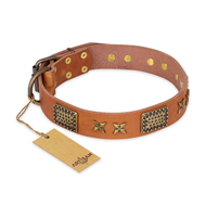 "Cosmic Traveller" FDT Artisan Adorned Leather Black Russian Terrier Collar with Old Bronze-Plated Stars and Plates