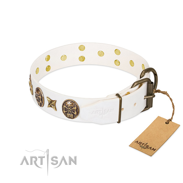 Rust resistant traditional buckle on leather collar for daily walking your doggie