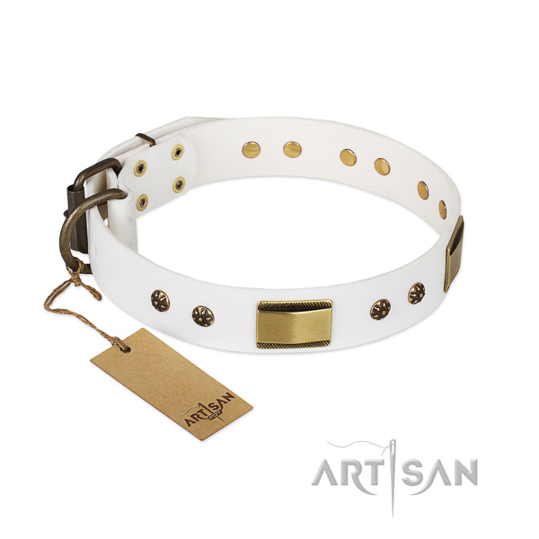 Top notch full grain genuine leather collar for your canine