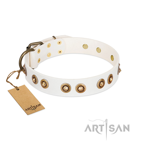 Inimitable leather collar for your dog