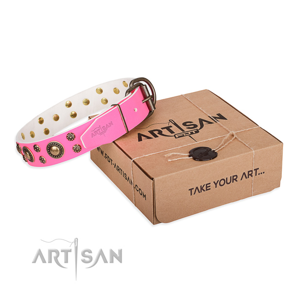 Everyday walking dog collar of best quality leather with adornments